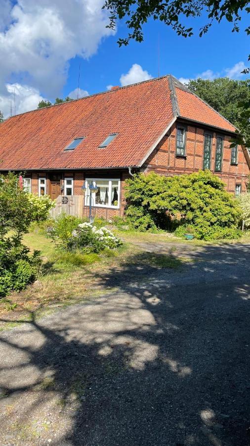 Hof Dueshop Apartman Bad Fallingbostel Kültér fotó