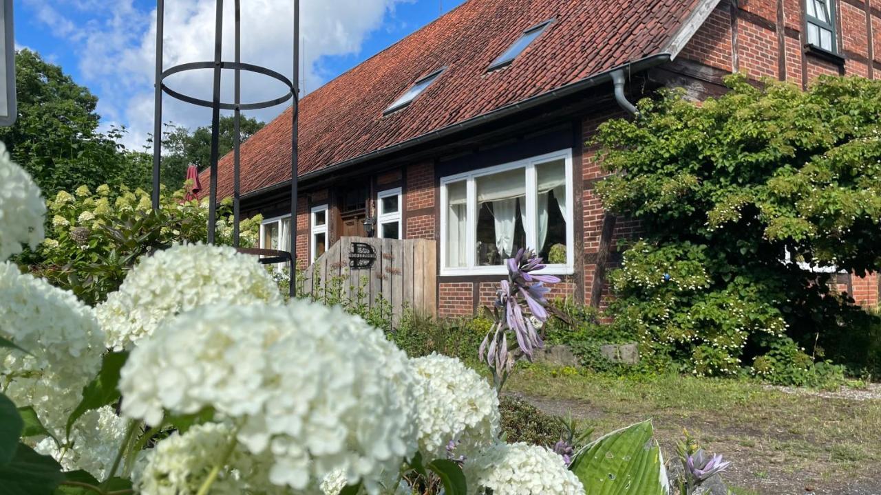 Hof Dueshop Apartman Bad Fallingbostel Kültér fotó