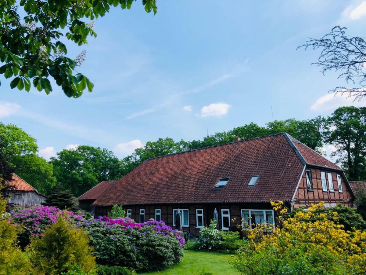 Hof Dueshop Apartman Bad Fallingbostel Kültér fotó